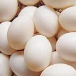 同安哪里有卖鸽子的