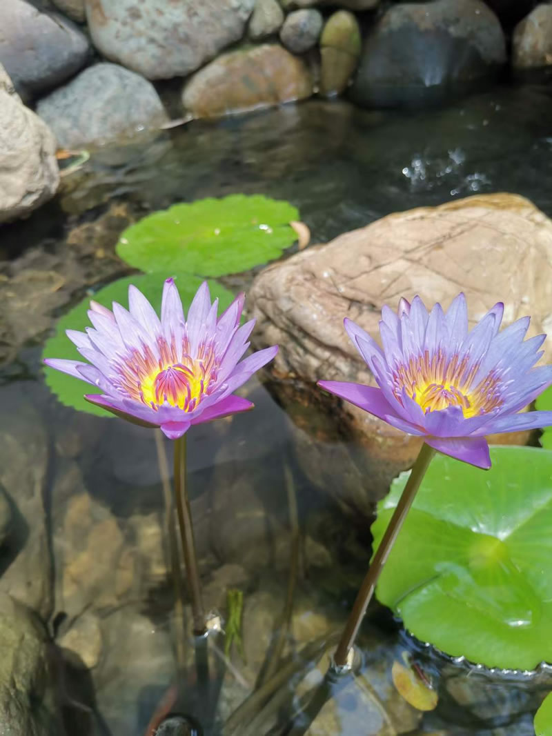 厦门情侣民宿推荐