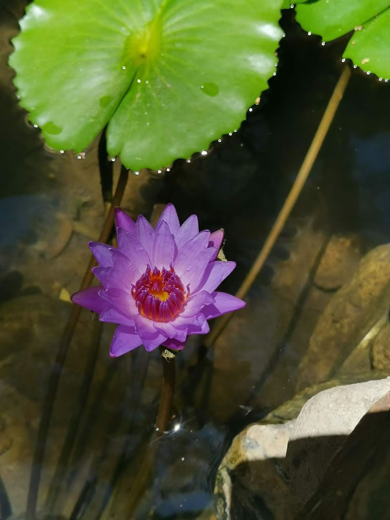 厦门情侣民宿推荐