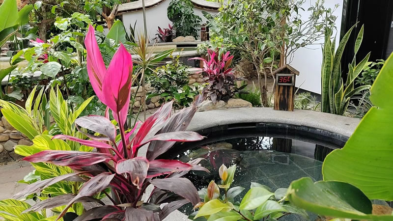 同安情侣温泉旅馆